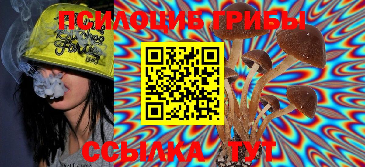 Тавда  Псилоцибиновые грибы Psilocybine cubensis  Псилоцибиновые грибы прущие грибы  Вход с VPN 